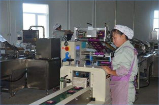 食品加工机械设备的清洗消毒与五金产品的选择与维护